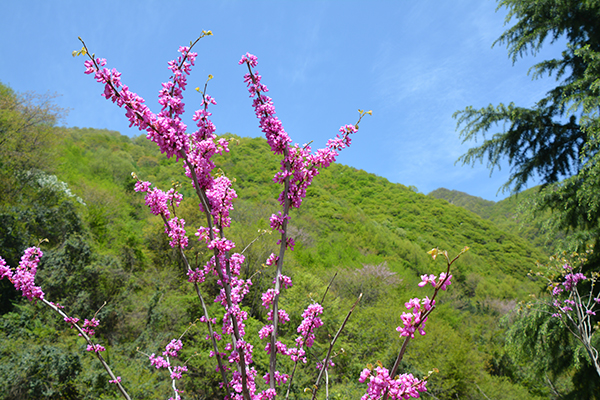 岳的大肥臀让我进