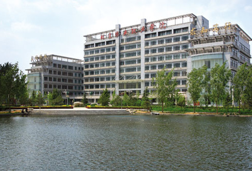 岳的大肥臀让我进