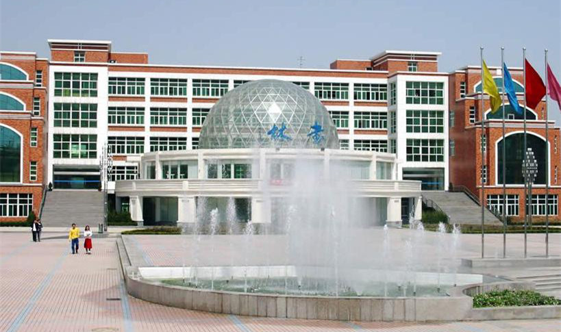 岳的大肥臀让我进