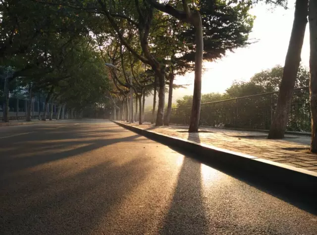 岳的大肥臀让我进