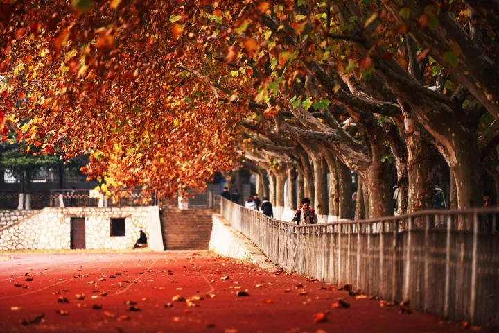 岳的大肥臀让我进