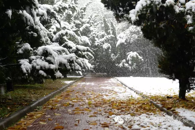 岳的大肥臀让我进