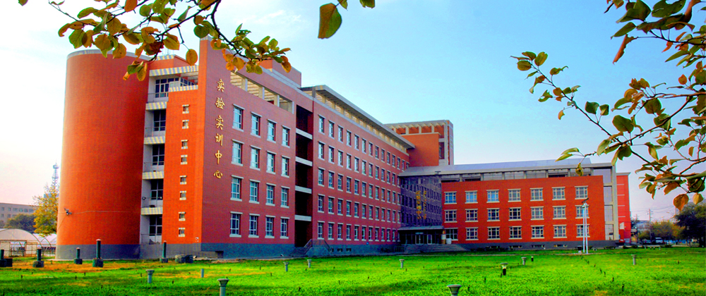 岳的大肥臀让我进