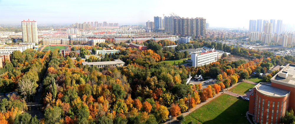 岳的大肥臀让我进