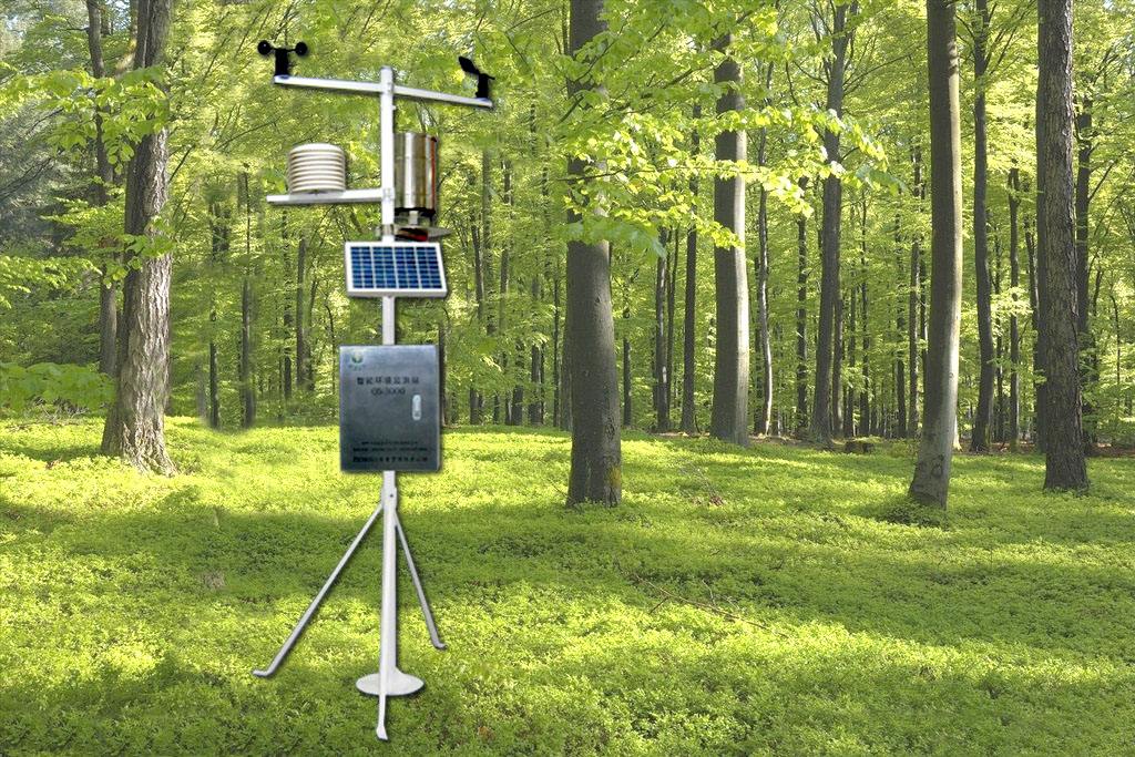 岳的大肥臀让我进